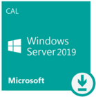 Microsoft Windows Server CAL 2019 Russian 1pk DSP OEI 1 Clt Device CAL (R18-05819)