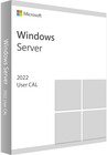 Microsoft Windows Server CAL 2022 Russian 1pk DSP OEI 1 Clt User CAL (R18-06457)