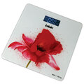 Измельчитель Philips HR2505/90