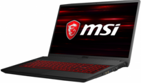 Ноутбук MSI GF75 (8RC-206) Thin