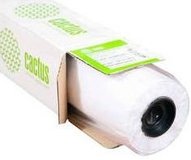 Холст Cactus CS-MC260-106730