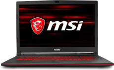 Ноутбук MSI GL73 (8RC-250)