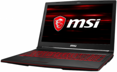 Ноутбук MSI GL63 (8SE-421)