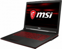 Ноутбук MSI GL73 (9SC-031)