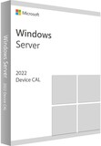 Microsoft Windows Server CAL 2022 Russian 1pk DSP OEI 1 Clt Device CAL (R18-06421)